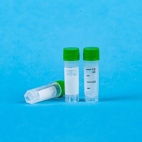 Sterile Internal External Thread Cryovials PP Material High Standard Laboratory 0.5ml 1.0ml 1.5ml 2.0ml 5.0ml