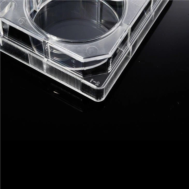 6 Well Plastic Tissue Culture Plate Disposable TC Treated Lab Consumables Cell Culture Plate