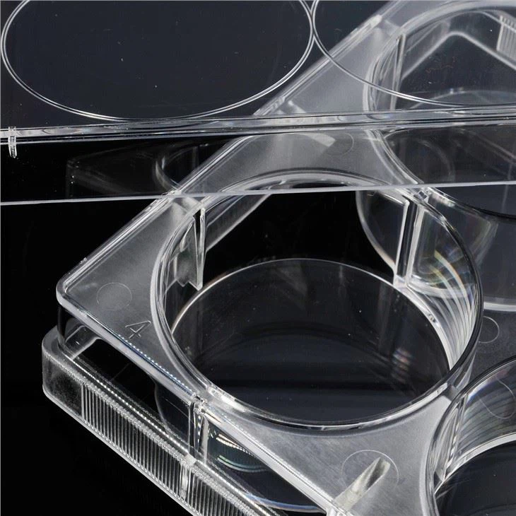 6 Well Plastic Tissue Culture Plate Disposable TC Treated Lab Consumables Cell Culture Plate